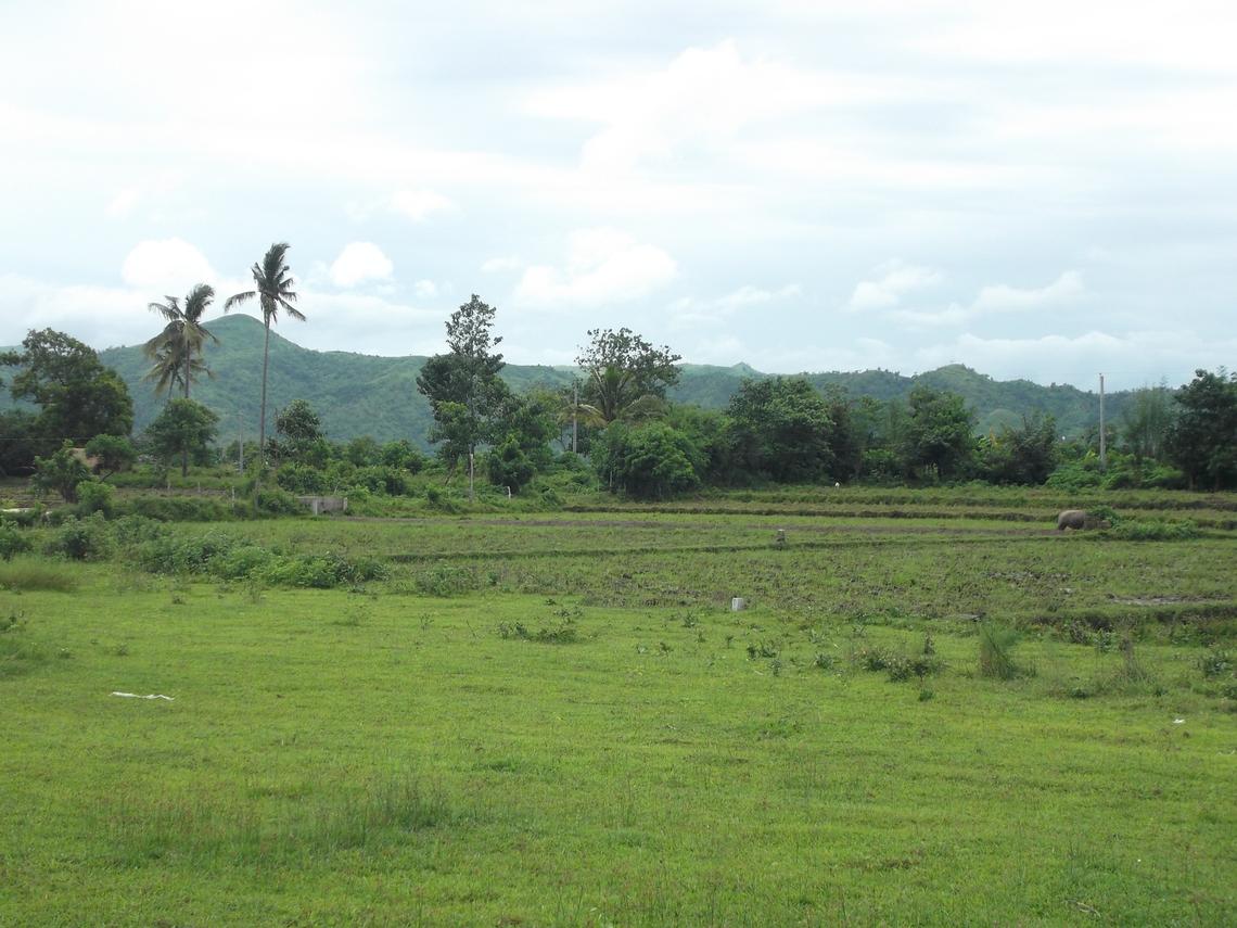 farmland 3 mountain view capas tarlac