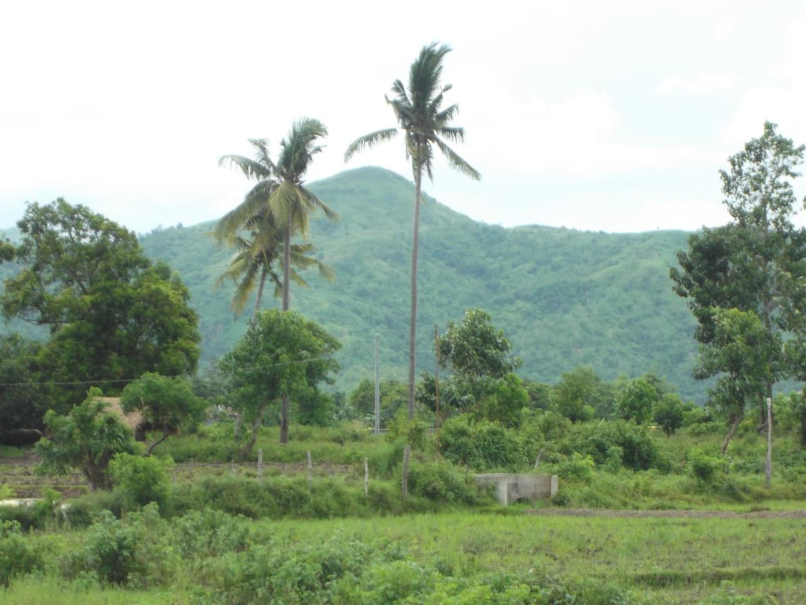 farmland mountain view capas tarlac